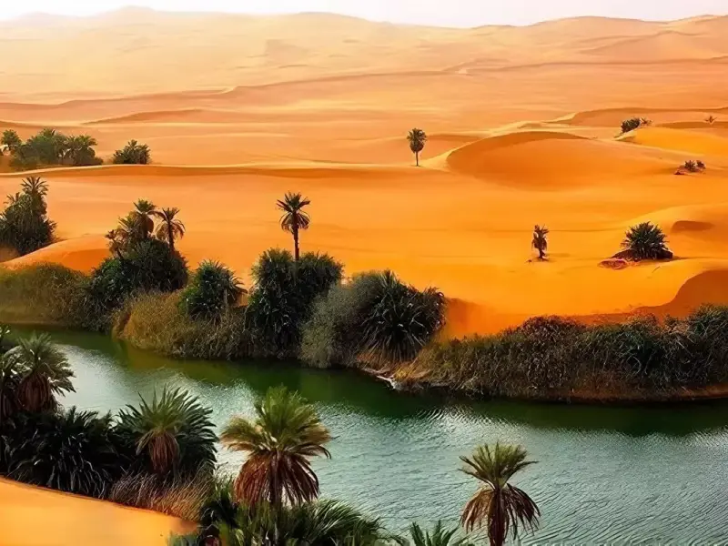 کویر زردگاه