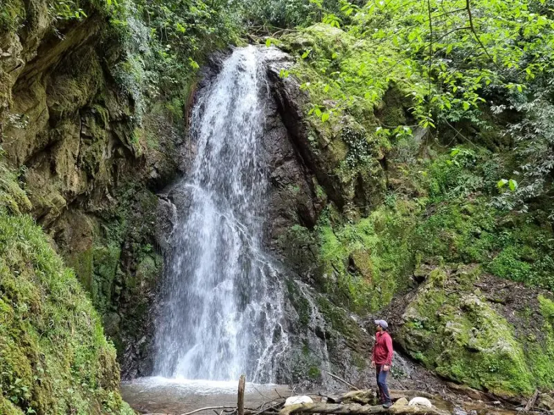 روستای فوشه - تصویر 8