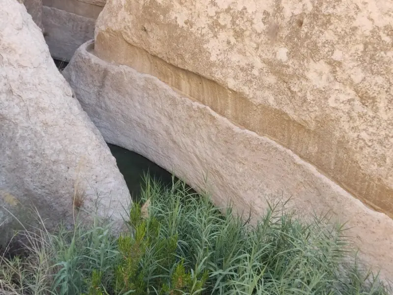 تنگ هیخ - تصویر 2