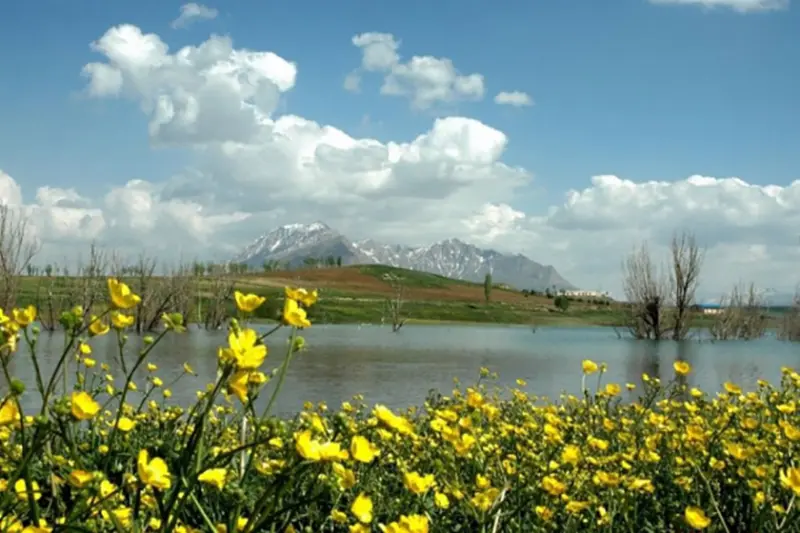 کوه تمندر - تصویر 4