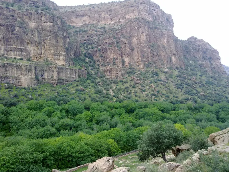روستای گلین - تصویر 2
