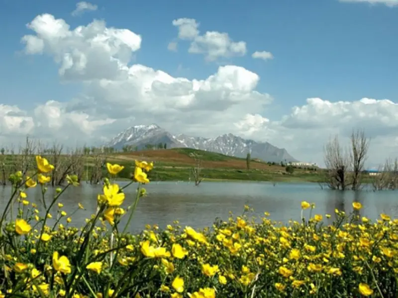 کوه تمندر - تصویر 4