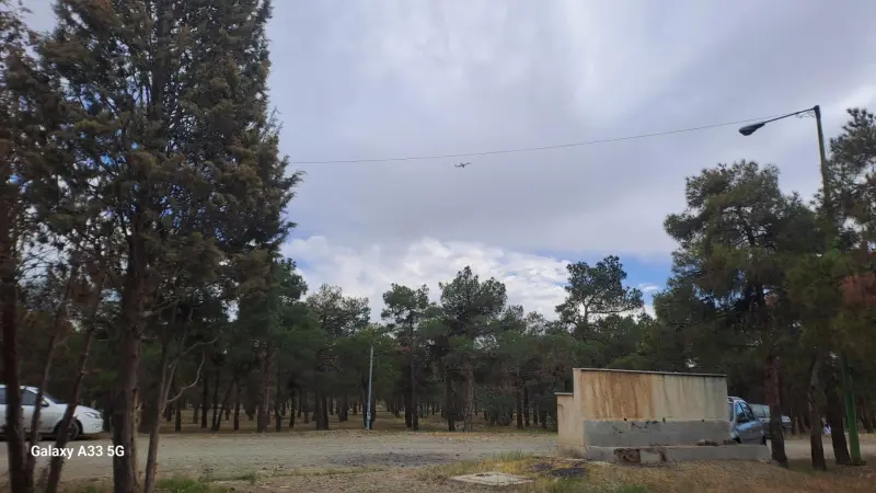 پارک جنگلی خرگوش دره - تصویر 2