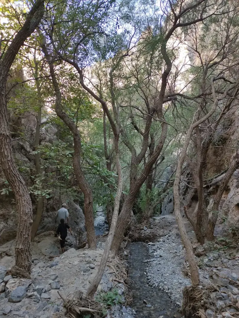 آبشار زاوین - تصویر 1