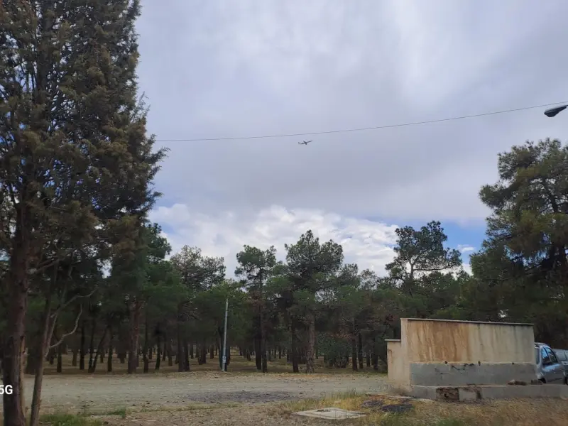 پارک جنگلی خرگوش دره - تصویر 2