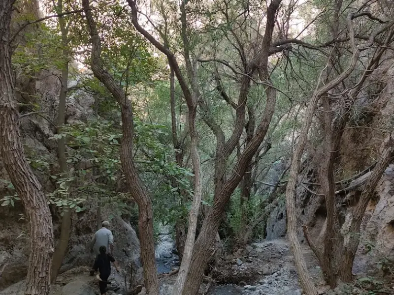 آبشار زاوین - تصویر 1