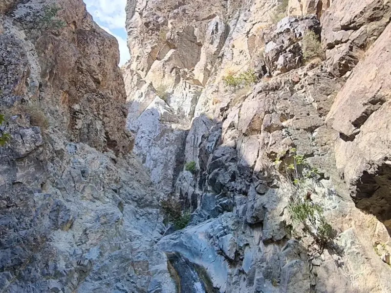 آبشار دلفارد