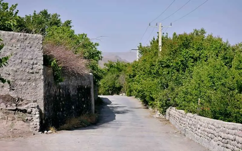 روستای تمین - تصویر 5