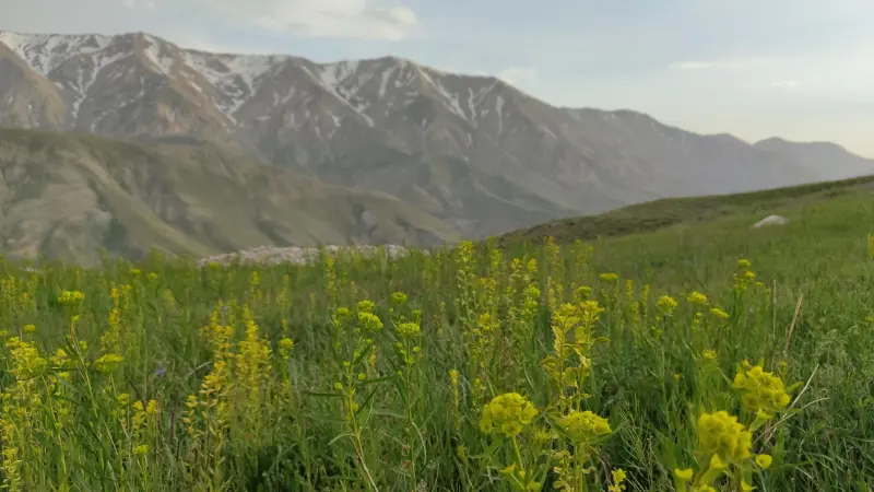 روستای لاسم - تصویر 4