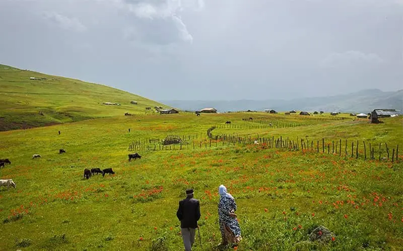شکردشت - تصویر 5