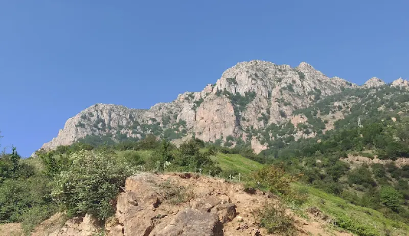 آبشار شیخ موسی - تصویر 2