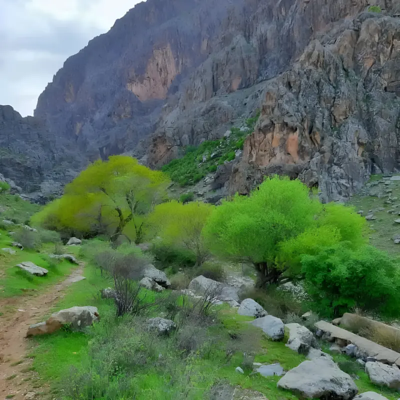 آبشار حشوید - تصویر 5