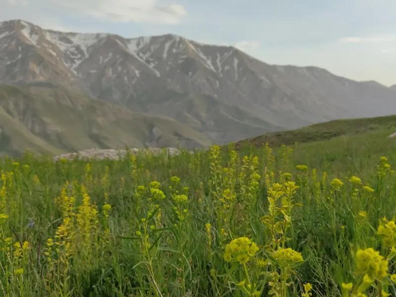 روستای لاسم - تصویر 4
