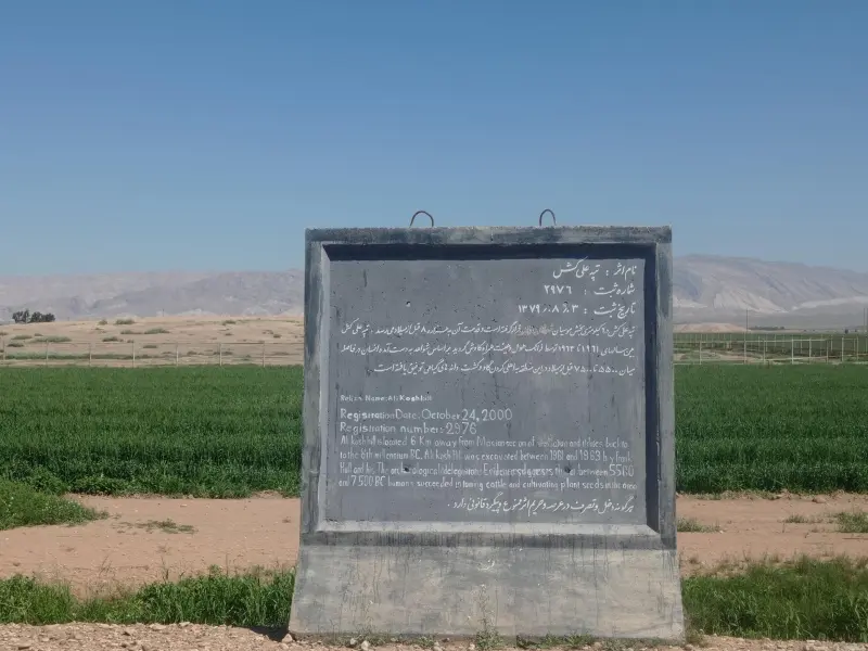 تپه علی کش - تصویر 3