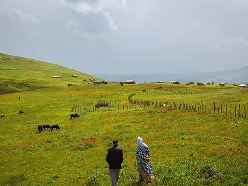 شکردشت - تصویر 5