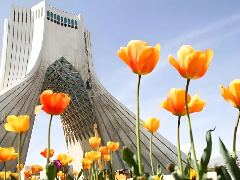 میدان آزادی - تصویر 2