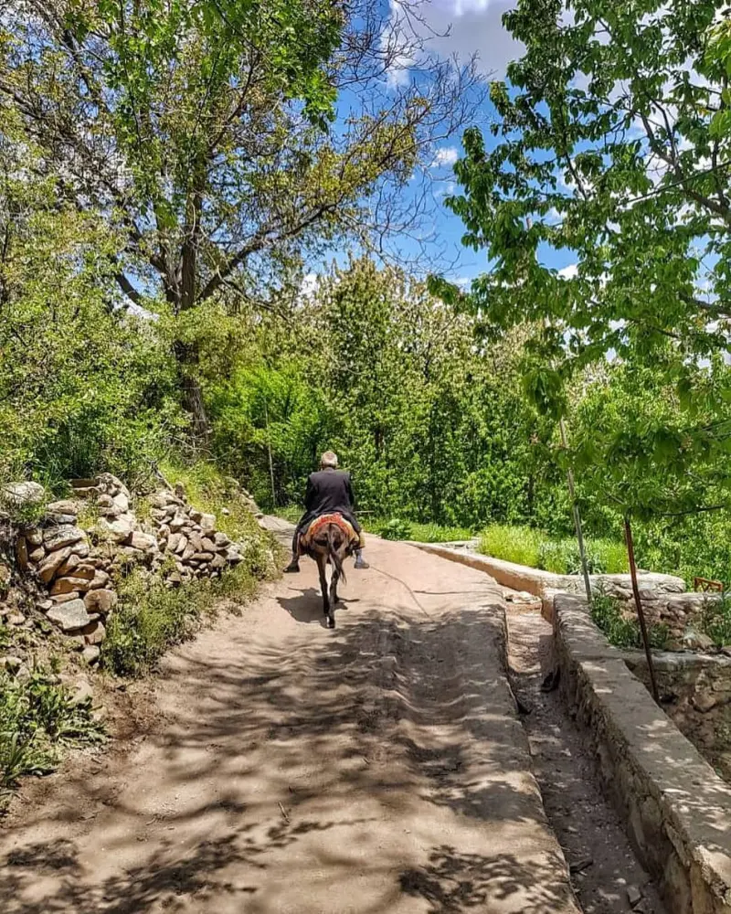 روستای آهار - تصویر 9