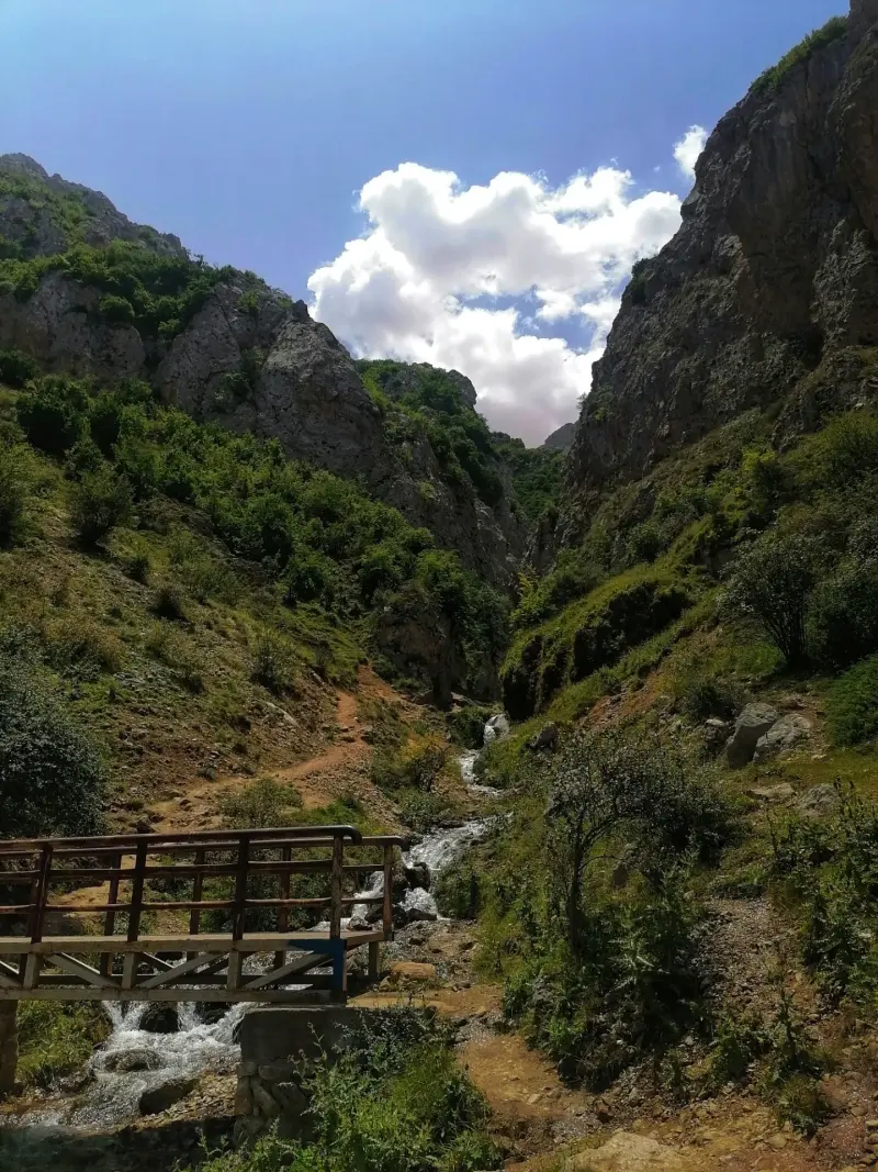 روستای دراسله - تصویر 3
