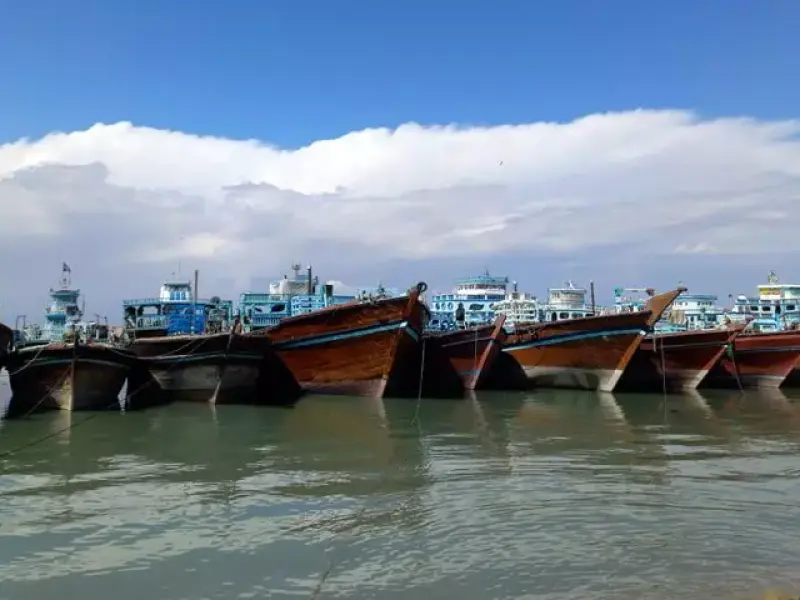 ساحل بندر دیلم - تصویر 4