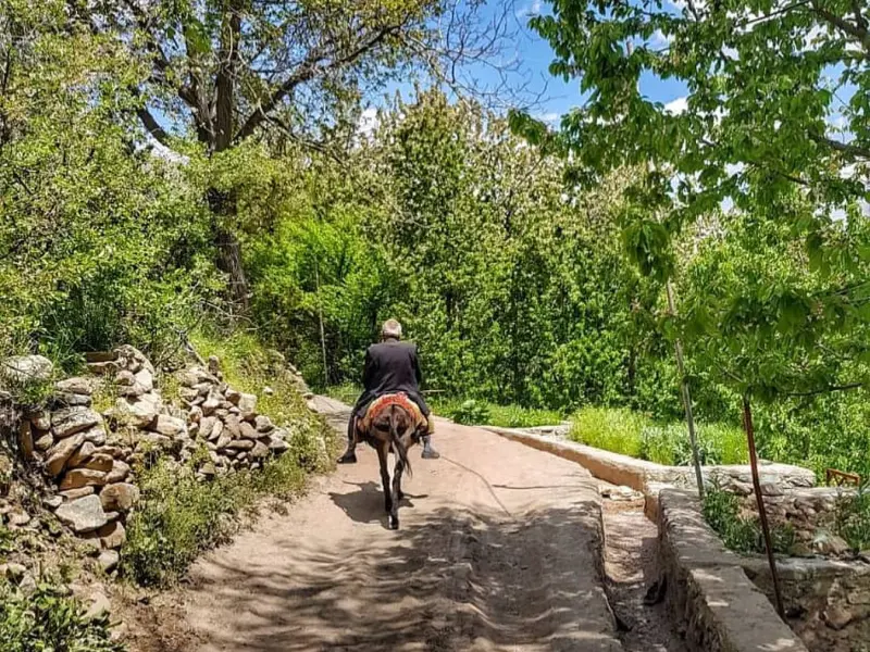 روستای آهار - تصویر 9