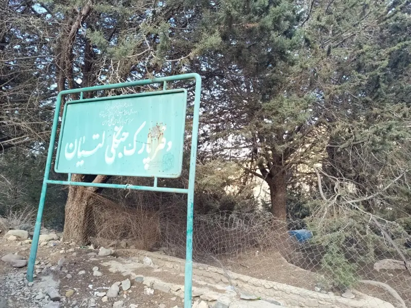 پارک جنگلی لتیان - تصویر 4
