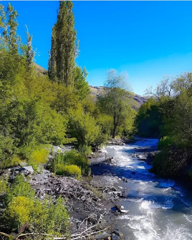 روستای کردینه - تصویر 5