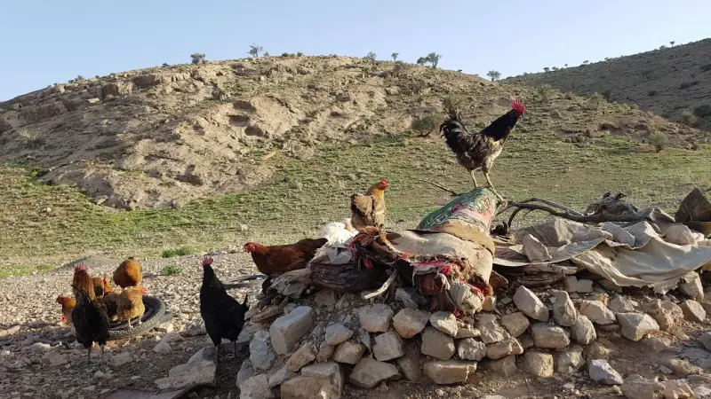 پارک ملی بختگان - تصویر 7