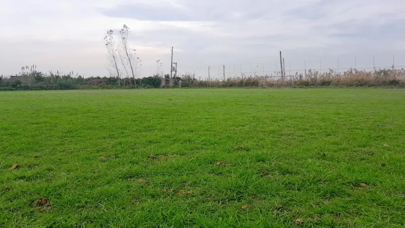 روستای عالی کلا - تصویر 2