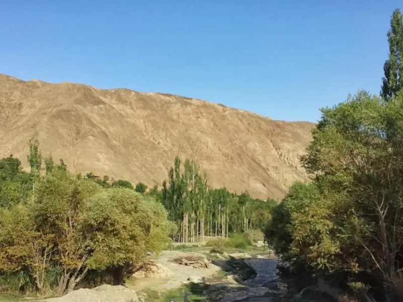 روستای سیرچ - تصویر 3