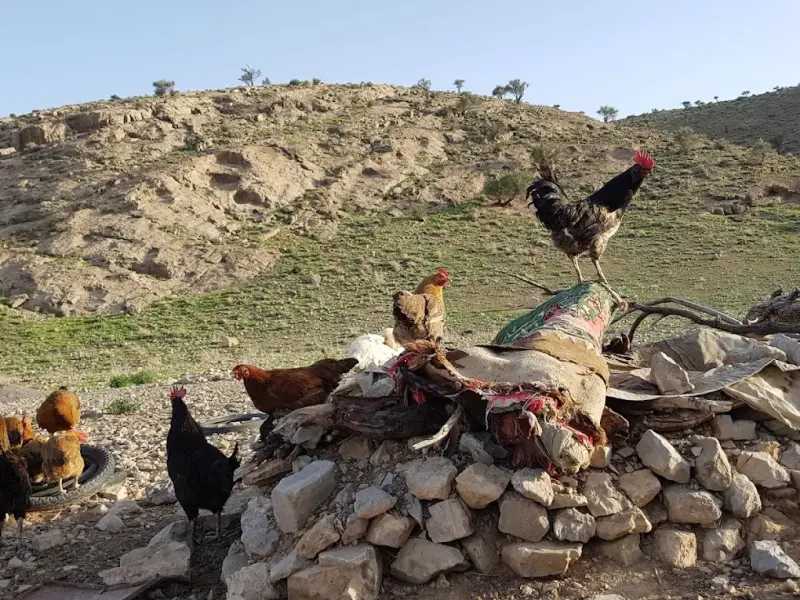 پارک ملی بختگان - تصویر 7