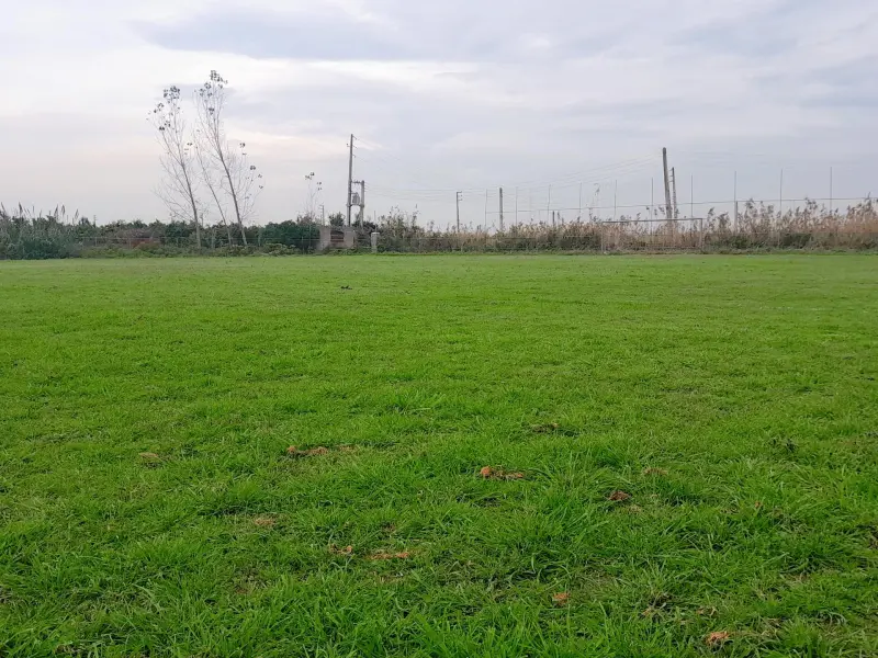 روستای عالی کلا - تصویر 2
