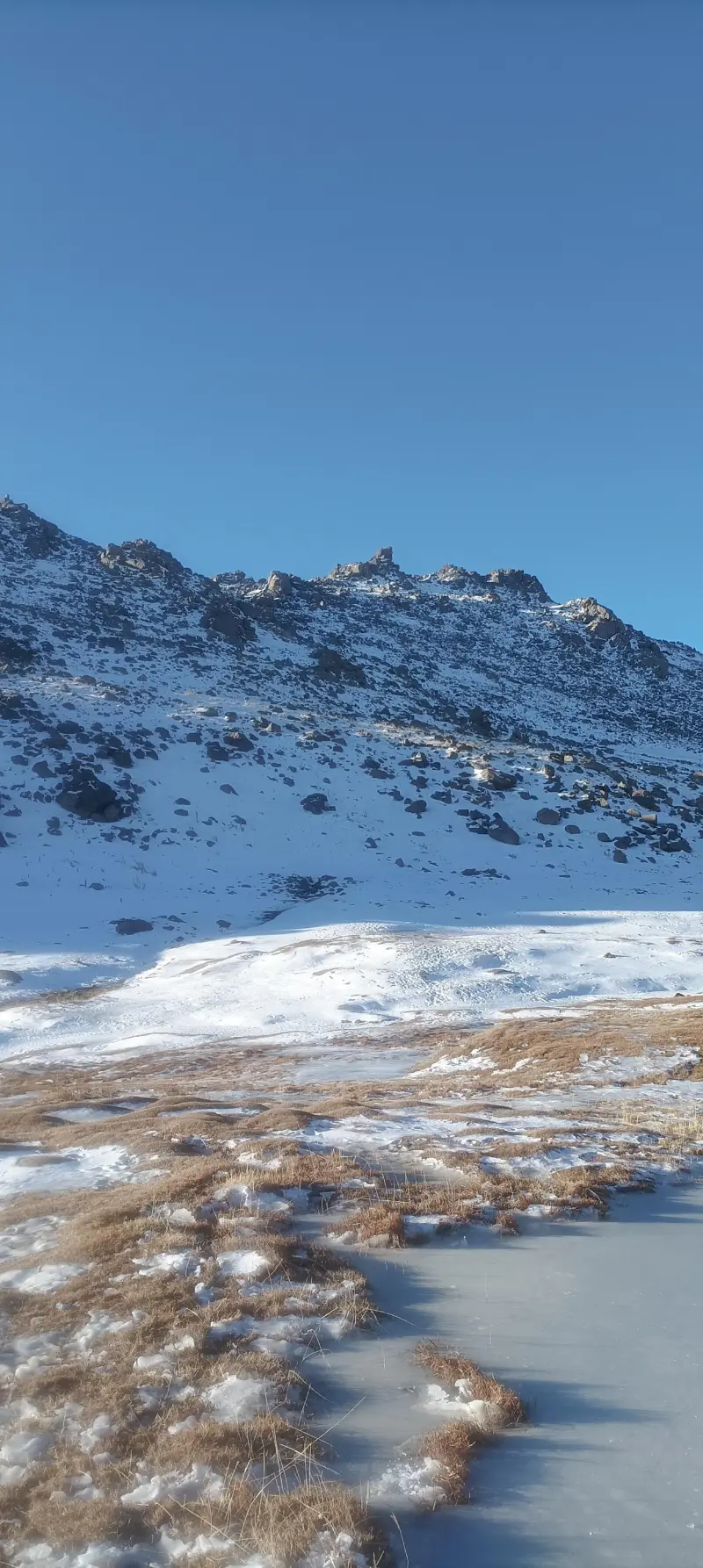 تخت نادر - تصویر 5