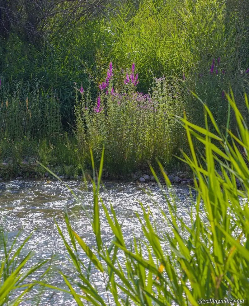 روستای هرانده - تصویر 5