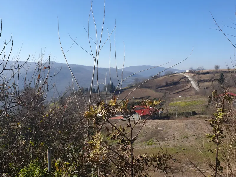 روستای سرکت