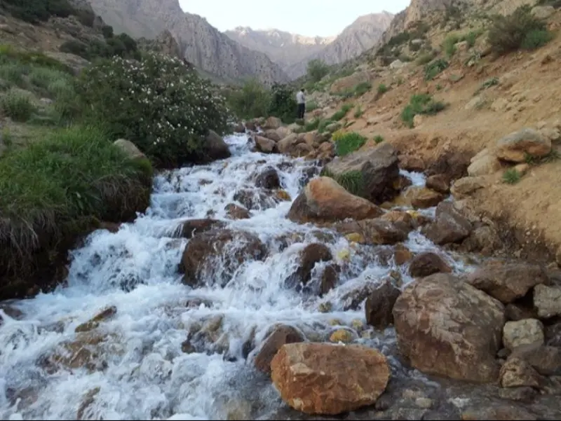 تنگ نول - تصویر 3