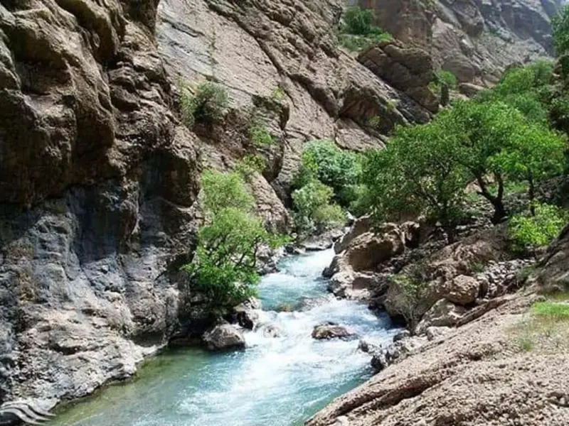 دره نی‌گاه - تصویر 9
