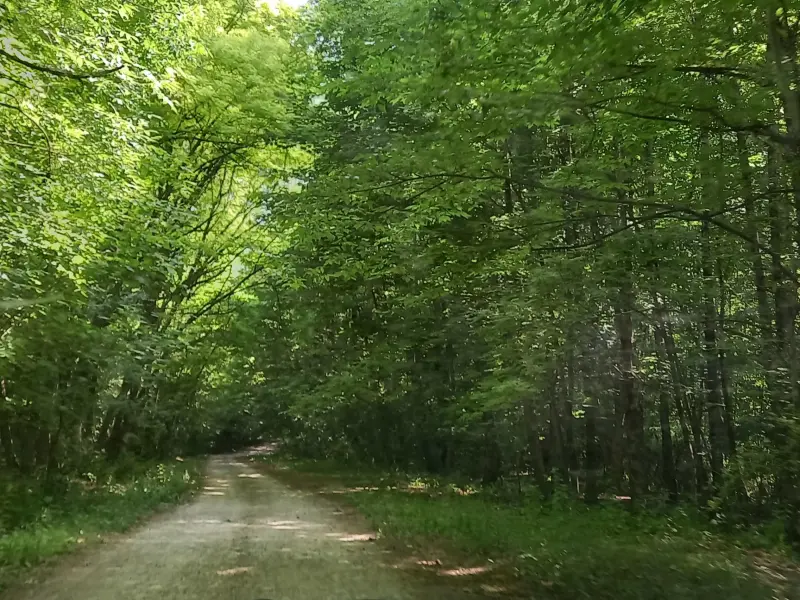 پارک جنگلی سرما
