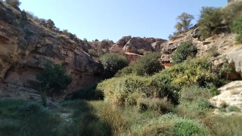 منطقه حفاظت‌شده قرخود - تصویر 3