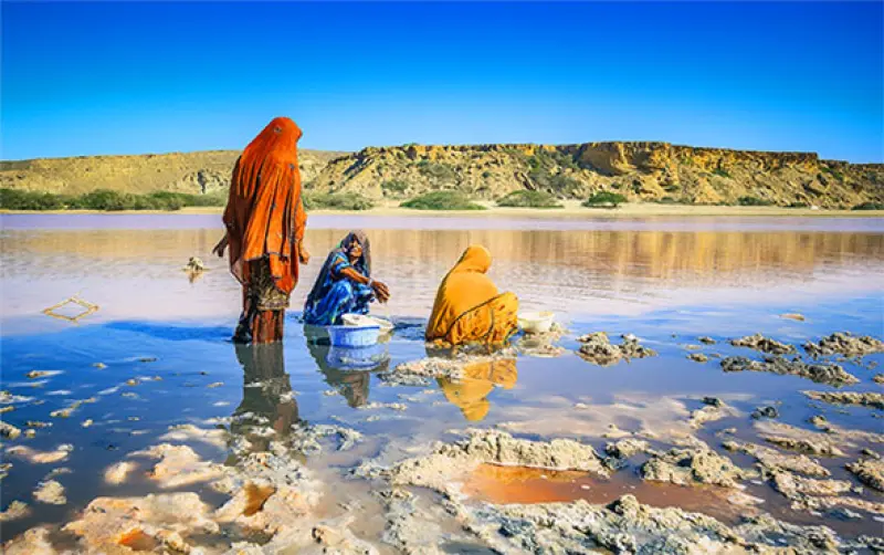 تالاب لیپار - تصویر 2