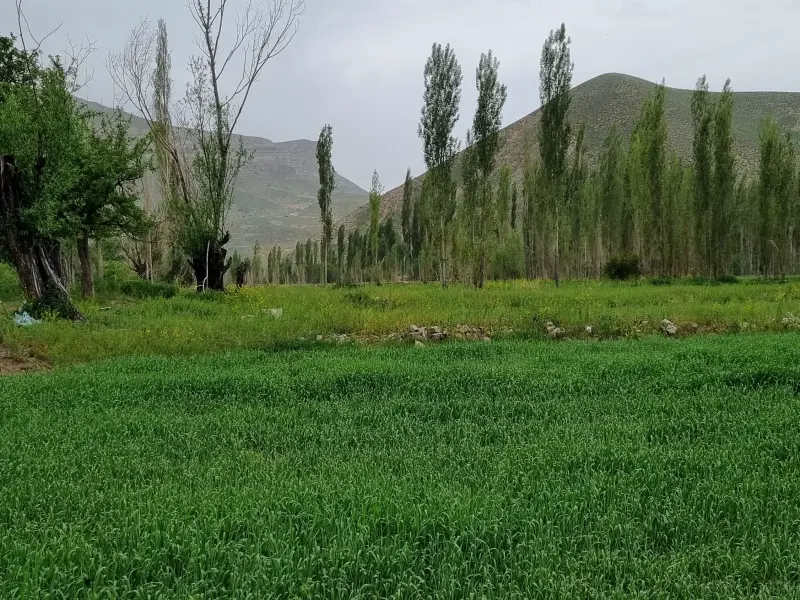 روستای خرکت - تصویر 3