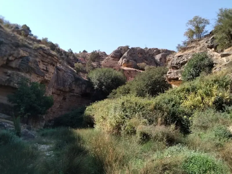 منطقه حفاظت‌شده قرخود - تصویر 3