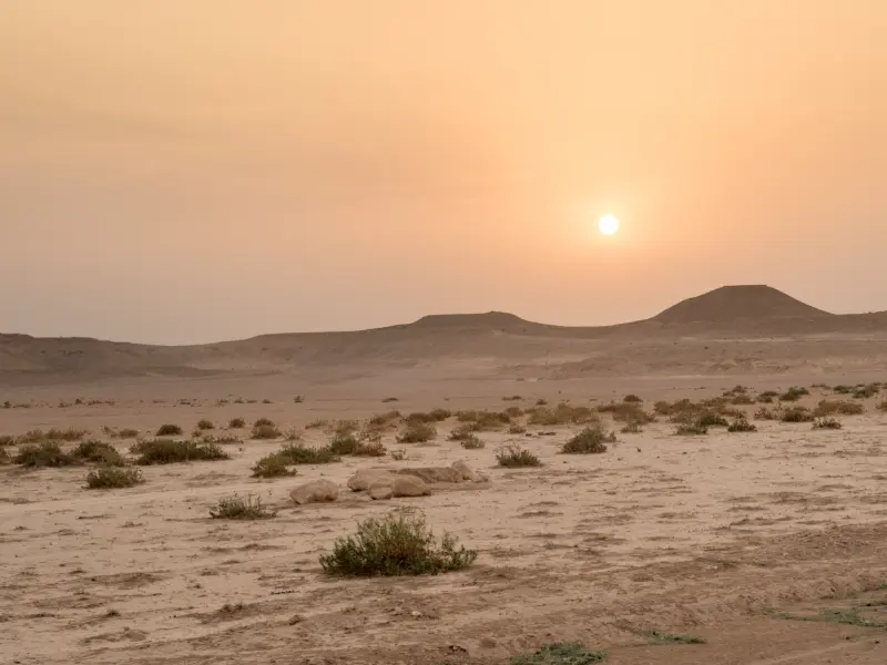دق اسماعیل مهلو
