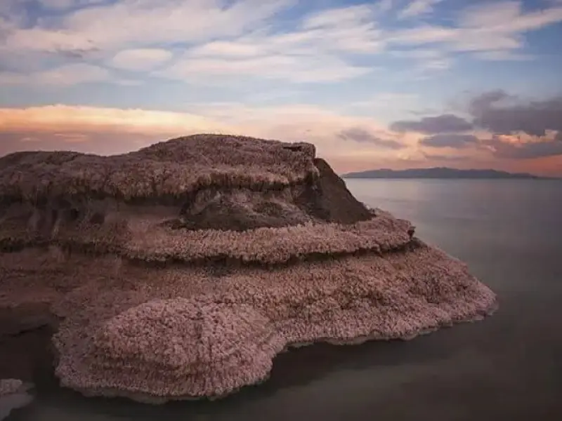 جزیره بردین
