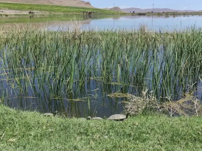 تالاب کانی برازان‎ - تصویر 3