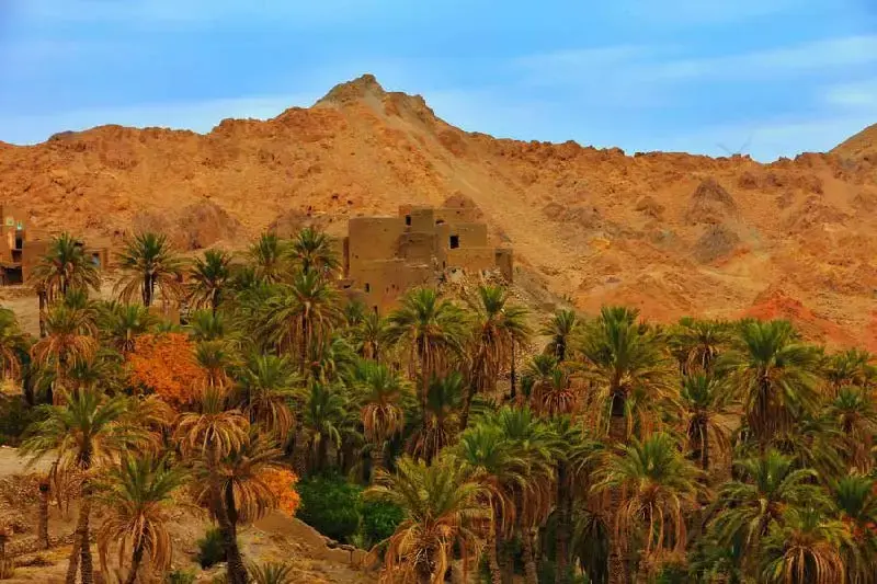 کویر زردگاه - تصویر 4