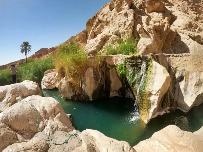 تخت عروس - تصویر 5