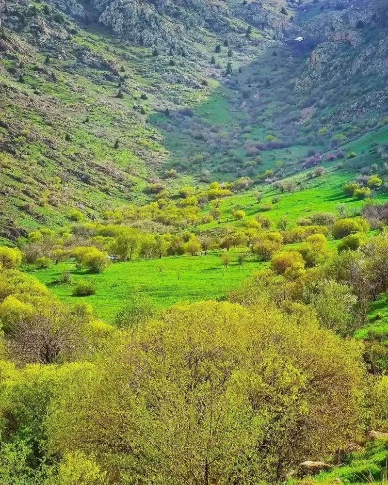 دهستان ترگور - تصویر 1