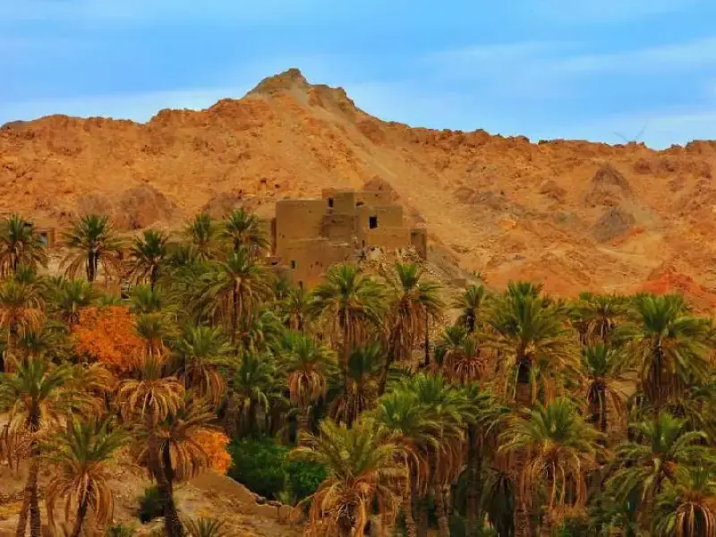 کویر زردگاه - تصویر 4