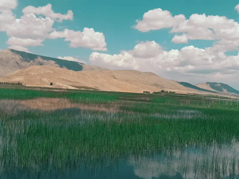 تالاب گندمان