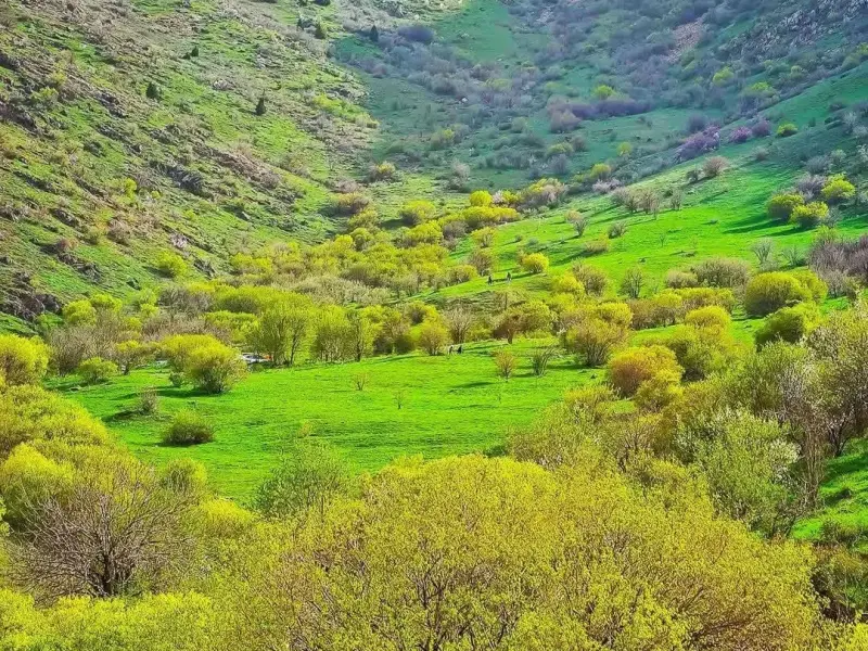 دهستان ترگور - تصویر 1